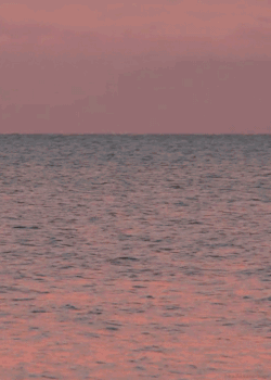 https://69.media.tumblr.com/f900873337f35d70c24a444ffb83ad32/tumblr_mruod2OP0o1re3n7mo1_500.gif