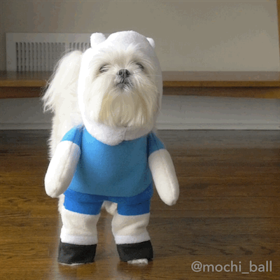 This pup is cosplay goals 