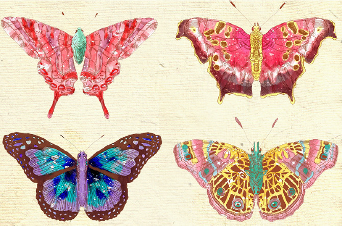 gaksdesigns:  Artist Bárbara Malagoli