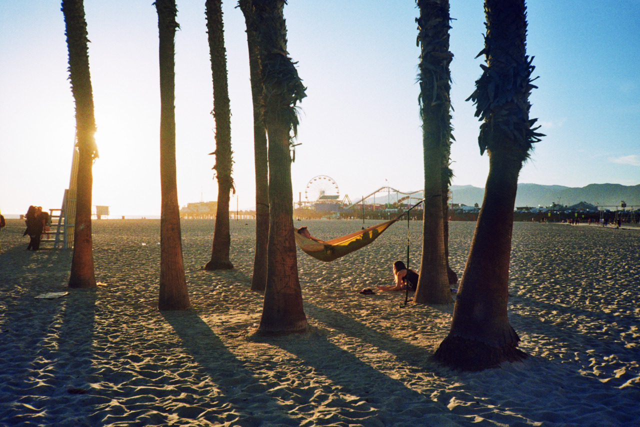 California Dreaming 🔊 #santamonicapier