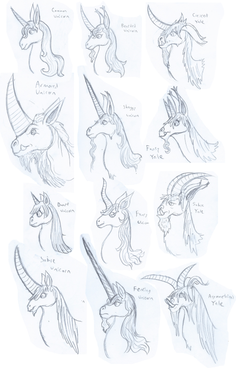 tyrantisterror:Extrapolating from what I posted yesterday, I drew a bunch of unicorns and yales, bec