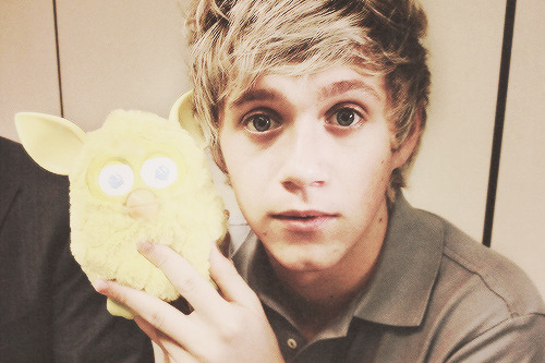  harry: “he looks like furby.” niall: “great! so you’re the cute one and i’m furby.” harry: “but they are cute.”                            
