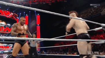 Loving-WWE