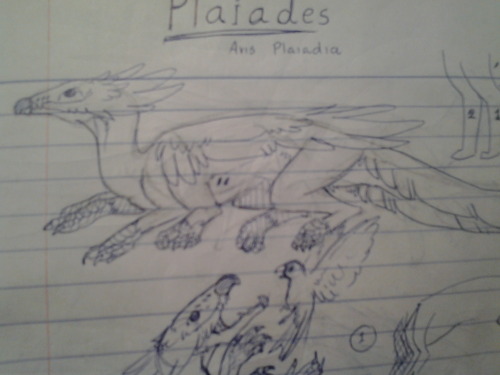 Plaiades, The species took 13 pages in total, and 3 days working on the sketch and concept, finally 