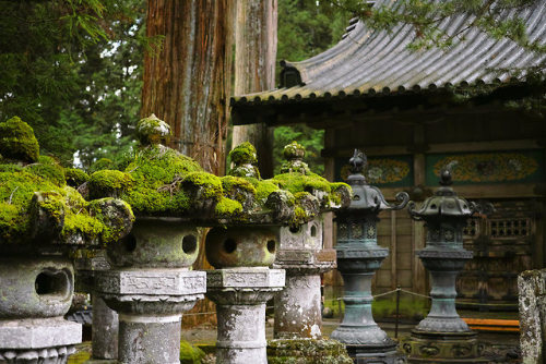 wanderlustjapan: Tosho-gu Shrine, Nikko by bethom33