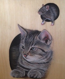 ivanhooart:  [Catch.me.if.you.can.;]😾🐭Acrylic