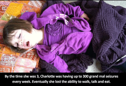 theludicrousrival: laliberty: Marijuana stops child’s severe seizures *gently places this here