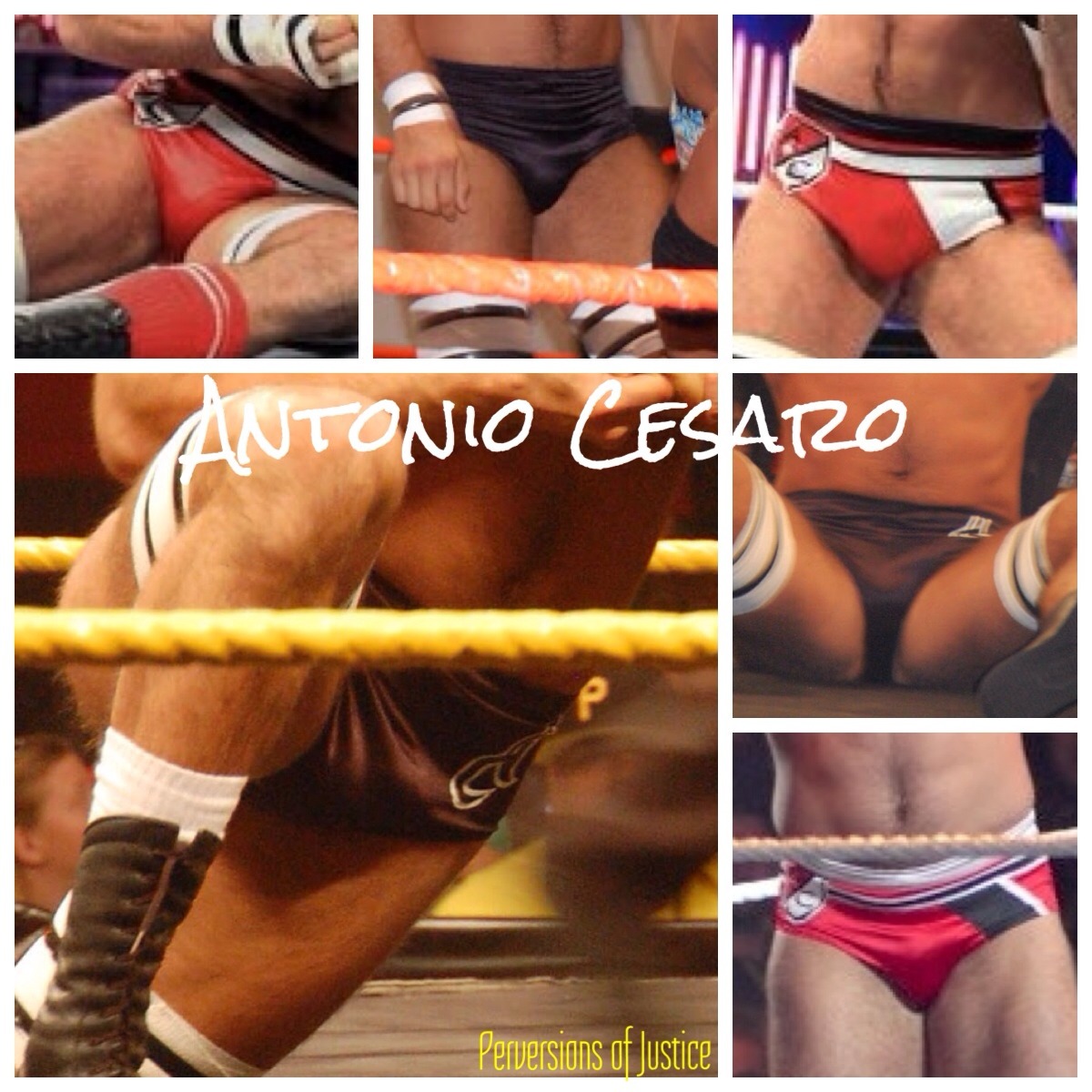 perversionsofjustice:  melzabelza here’s some more Cesaro
