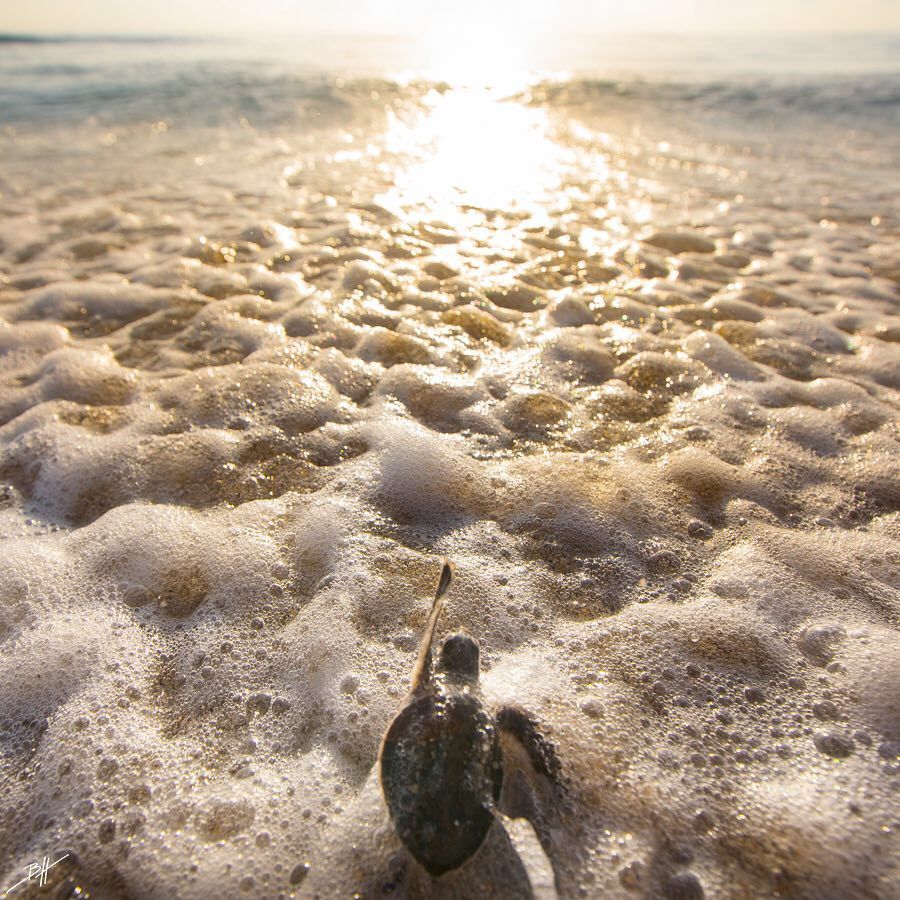 atraversso: Summer Is Coming - By:  Ben Hicks Photographer