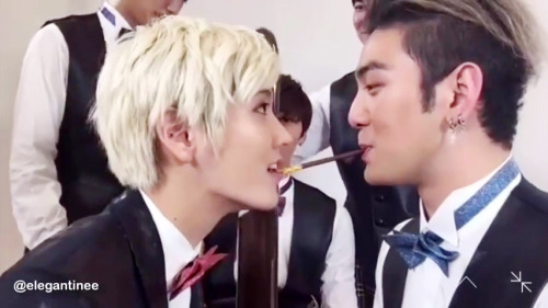 donghomingi:[SCREENCAP] BaekRen pepero gamesource: elegantinee Baekho’s panicked expression in