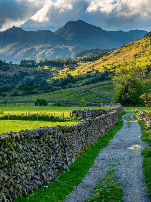Langdale Pikes in the Lake District