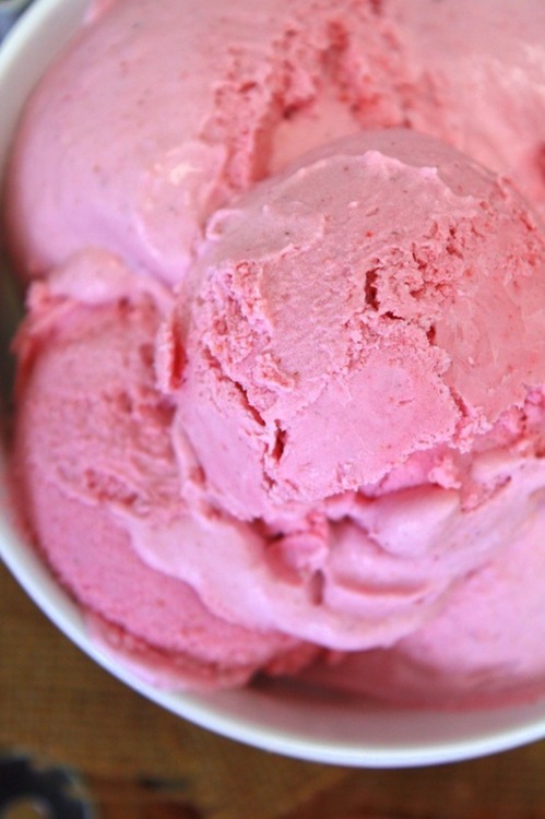 Sex vegan-yums:  *~* Vegan Ice Cream *~* Homemade pictures