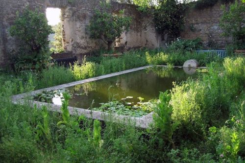 nordicsublime:  Pond garden 