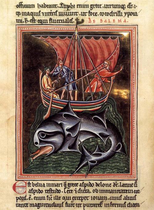 Illustration for a discussion of the appearance and behavior of whales, from a bestiary created in E