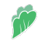 mslettuce