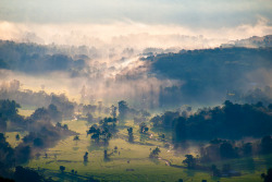 Natureconservancy:  Heaven Fall Down - Corbetsview, Knuckles Mountain Range (දුම්බර