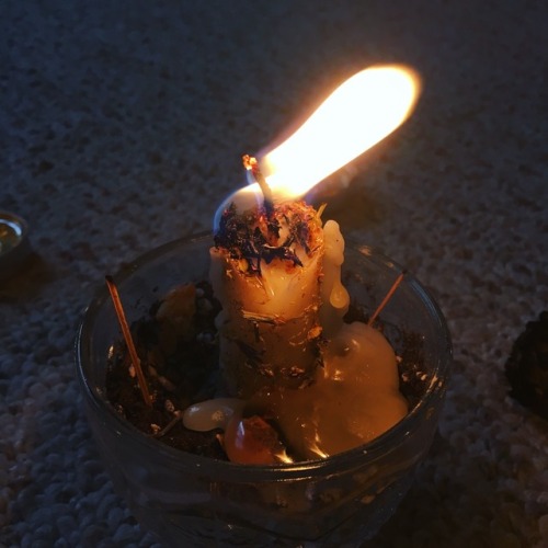 [Love Spell] A Gentle Person’s Wick & Rectification I refuse to go into this New Year fearing an