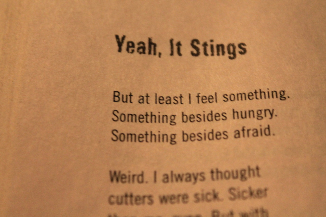 princess-dingbat:  Ellen Hopkins- Identical 