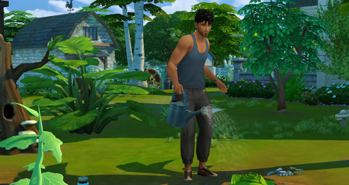 I realize I haven’t posted anything about my Cottage Living save!I had my sims, Arjun, moved i