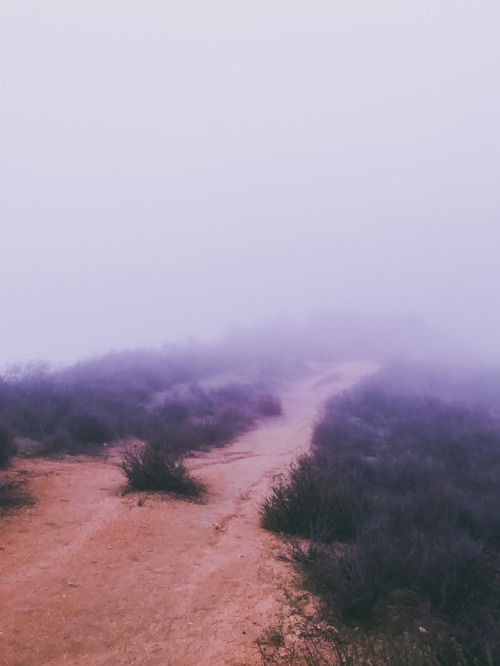leahberman: Fog sigh La Tuna Canyon Park, California instagram