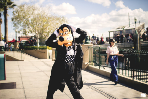 lackyannie:  GOOBY. PLEASE.