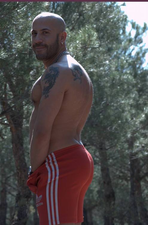 bigtastybear:  [[ FOLLOW ⁞ BIG TASTY BEAR ]]