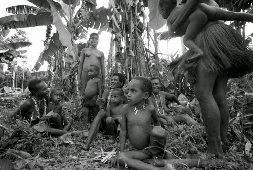 tribalbeauties:Korowai Tribe