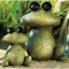 rockfroggies