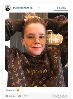 Cruz Beckham Takes to Instagram to Tease His Supreme x Louis Vuitton Hoodie