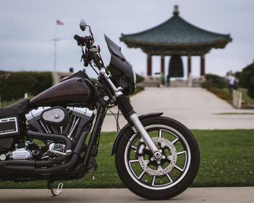 Two Generations of Harley’s Low Rider