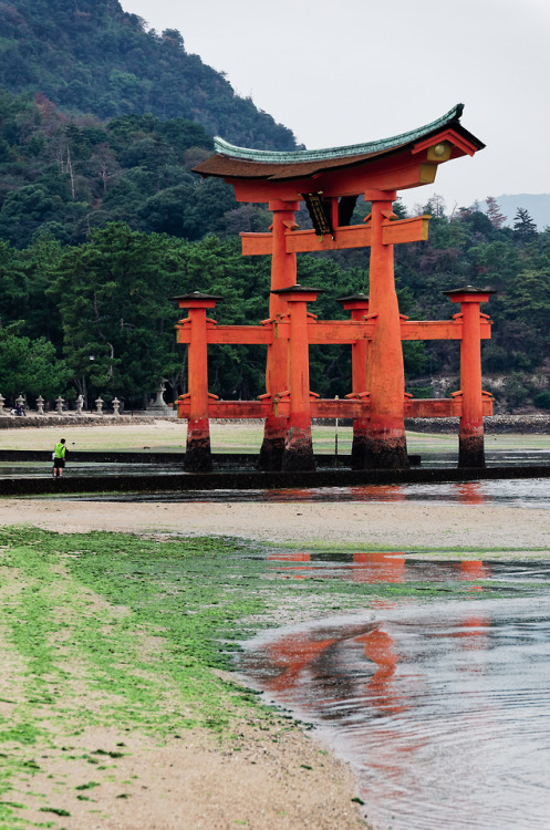 breathtakingdestinations:Itsukushima Shrine - Japan (by brian_ytsu) 