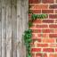 rock-wood-bricks