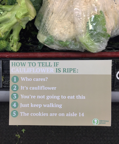 obviousplant:  How to tell if fruits and veggies are ripe 
