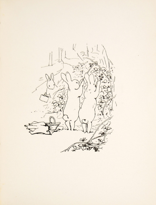 peterrabbit2007: Two images from the 1901 privately printed version of The Tale of Peter Rabbit. Che