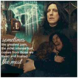 daily-harry-potter:  Losing a Loved Onehttp://daily-harry-potter.tumblr.com