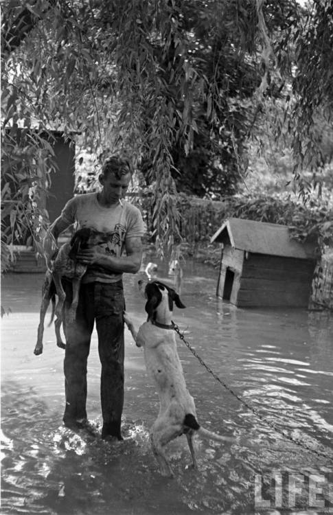 Time to move the dogs to higher ground(Ralph Crane. 1951)