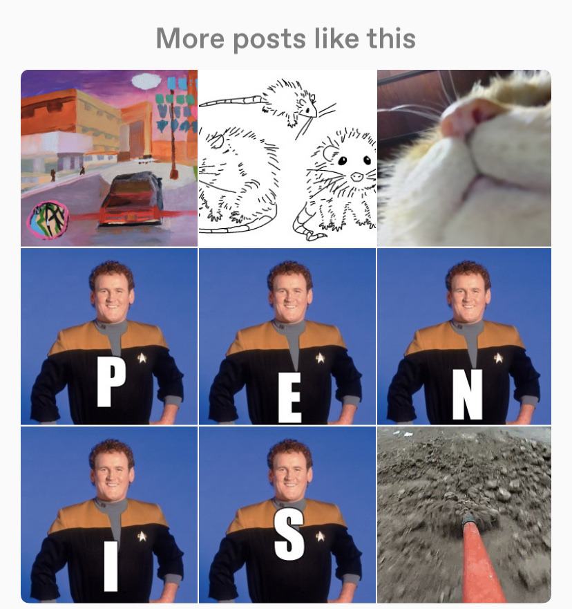 tumbwr:kat:it&rsquo;s the final penis friday of 2021 how are you celebrating