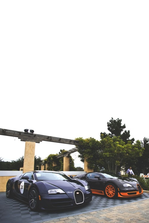 visualechoess:  Bugatti Supersports - © Gideon Gillard 