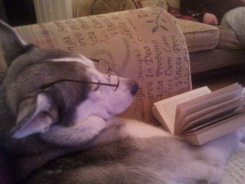 systemofadowny:  Can’t talk right now Margret, I’m reading. 