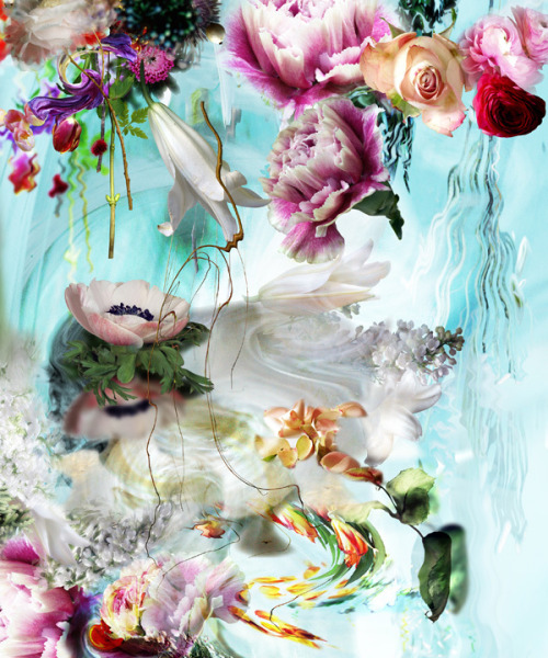 republicx:  L’embarquement pour Cythère by Isabelle Menin Isabelle Menin is a Belgian photographer. After several exhibitions in Belgium, she decided to quit painting and to work with digital photography. Taking pictures, scanning fragments of nature,