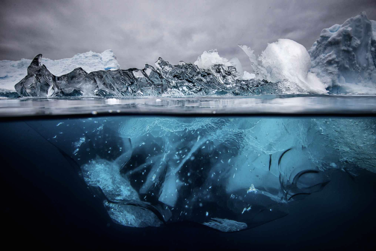 nubbsgalore:  the submerged underside of an iceberg becomes revealed when it flips,