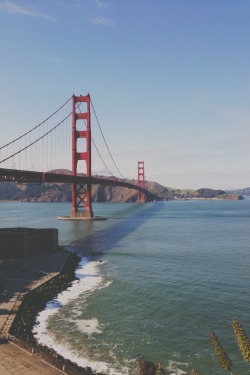 cries:  throwback when i went to san francisco last year, probably the best picture i’ve ever taken, i’m proud of it 