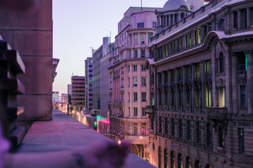 foxmouth:Neon Nights, 2016 | by Elsa Bleda