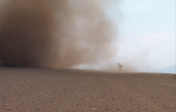  Francis Alys running into a tornado  