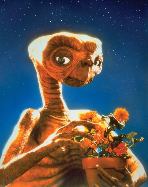 E.T. The Extra-Terrestrial