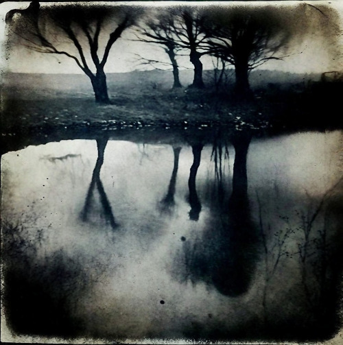 Lake 101123