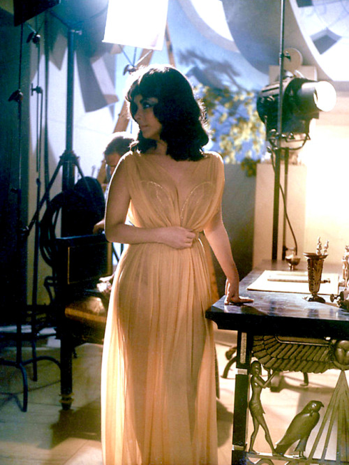 20th-century-man:Elizabeth Taylor / production still from Joseph L. Mankiewicz’s Cleopatra (19
