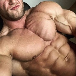 Packed Pecs