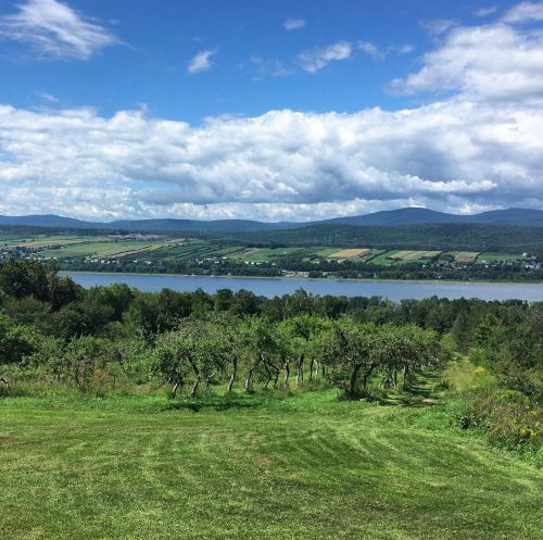 Enjoying the view on the orchard and the Fleuve Saint-Laurent. #nature #naturephotography #naturelov