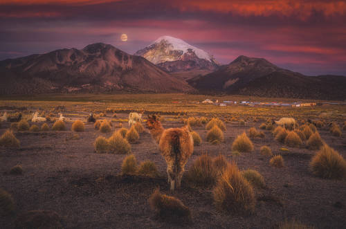 Andean landscape by Yiannis Pavlis Camera: Canon EOS 5D Mark III Lens: Canon EF 16-35mm f/2.8L II US